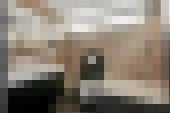 Frans Halsstraat 84 Voorthuizen thumbnail 4