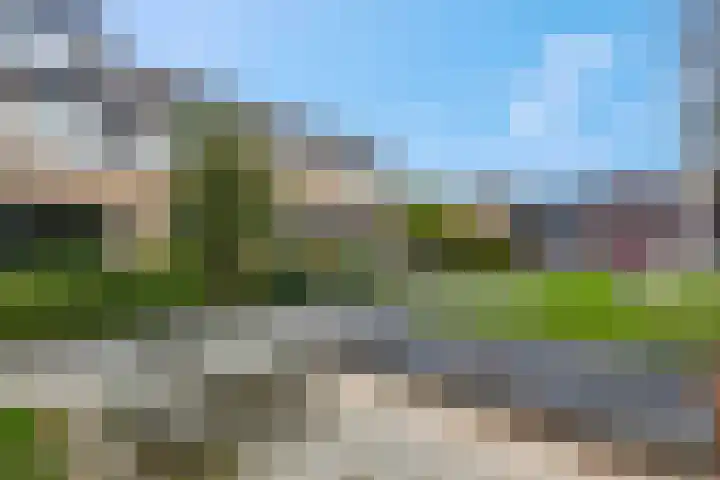 Frans Halsstraat 84 Voorthuizen thumbnail 6