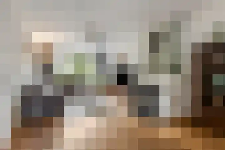 Frans Halsstraat 84 Voorthuizen thumbnail 8