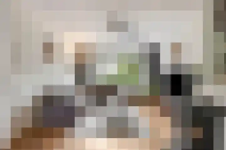 Frans Halsstraat 84 Voorthuizen thumbnail 9