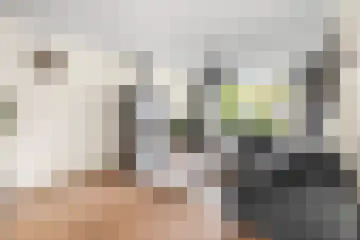 Frans Halsstraat 86 Voorthuizen thumbnail 10