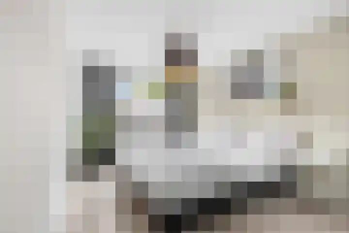 Frans Halsstraat 86 Voorthuizen thumbnail 22