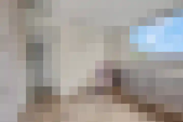 Frans Halsstraat 86 Voorthuizen thumbnail 34