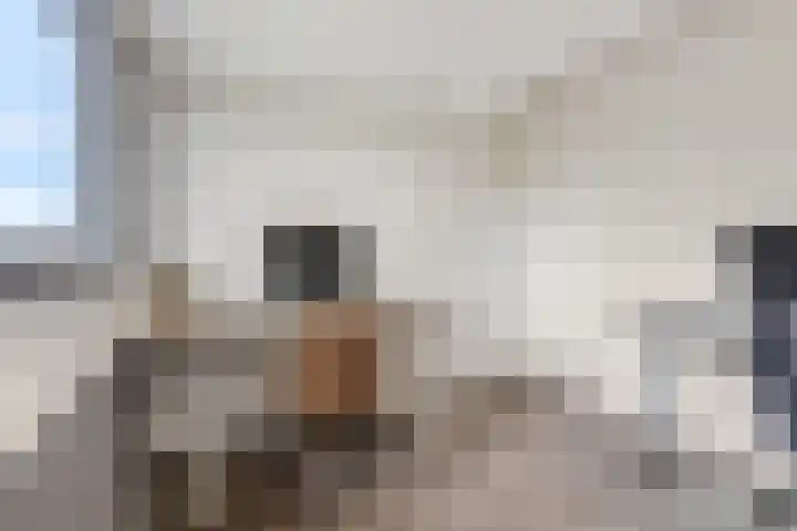 Frans Halsstraat 86 Voorthuizen thumbnail 36
