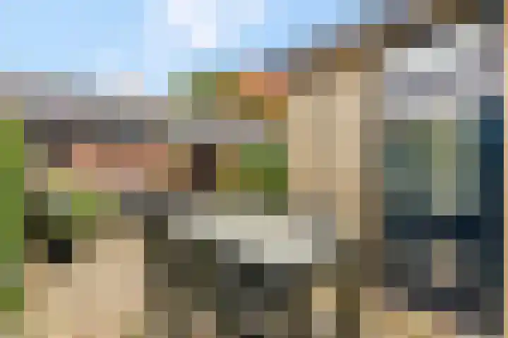 Frans Halsstraat 86 Voorthuizen thumbnail 38