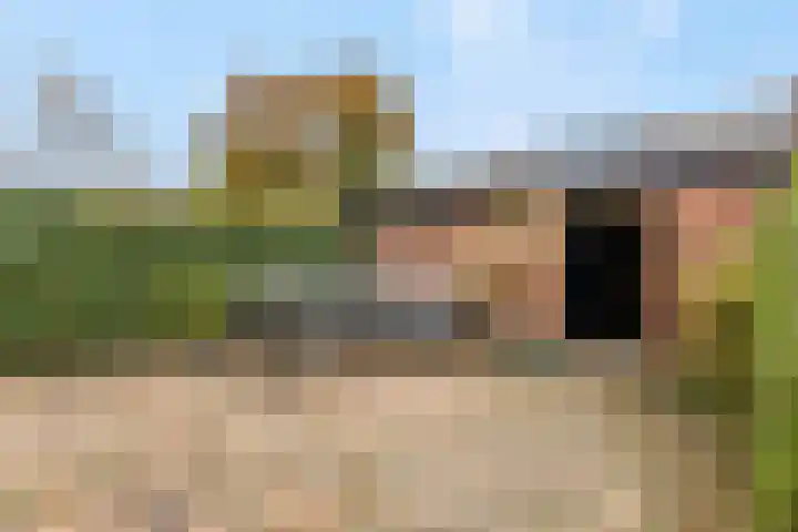 Frans Halsstraat 86 Voorthuizen thumbnail 40