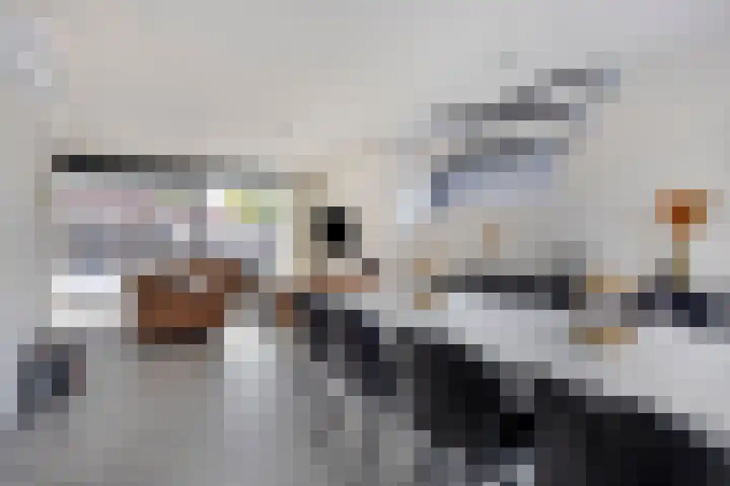 Frans Halsstraat 9 c Clinge thumbnail 11