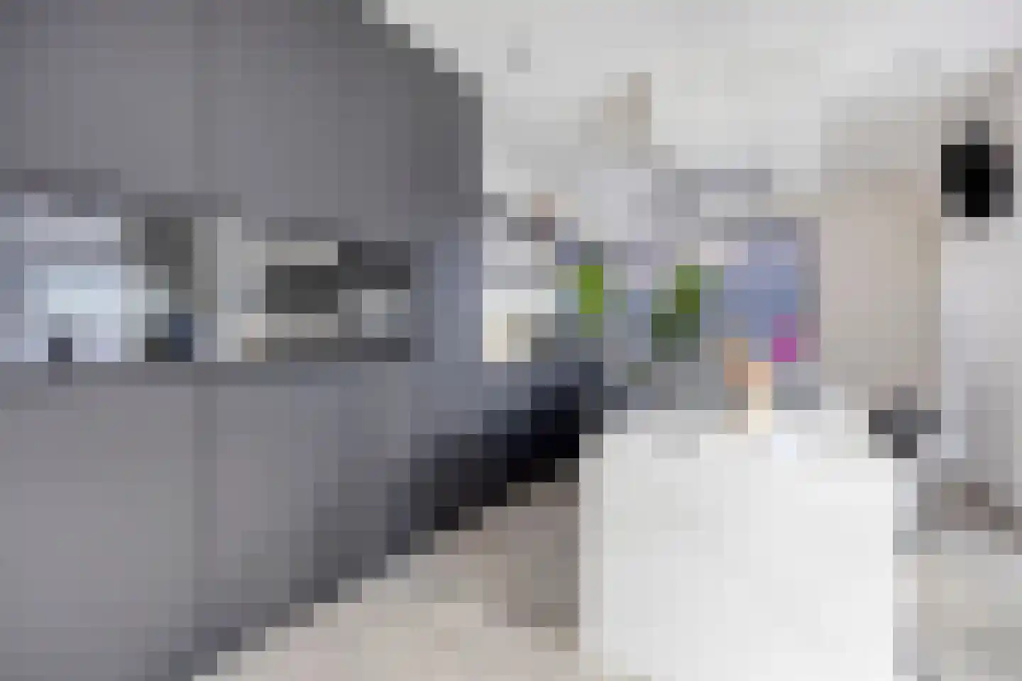 Frans Halsstraat 9 c Clinge thumbnail 13
