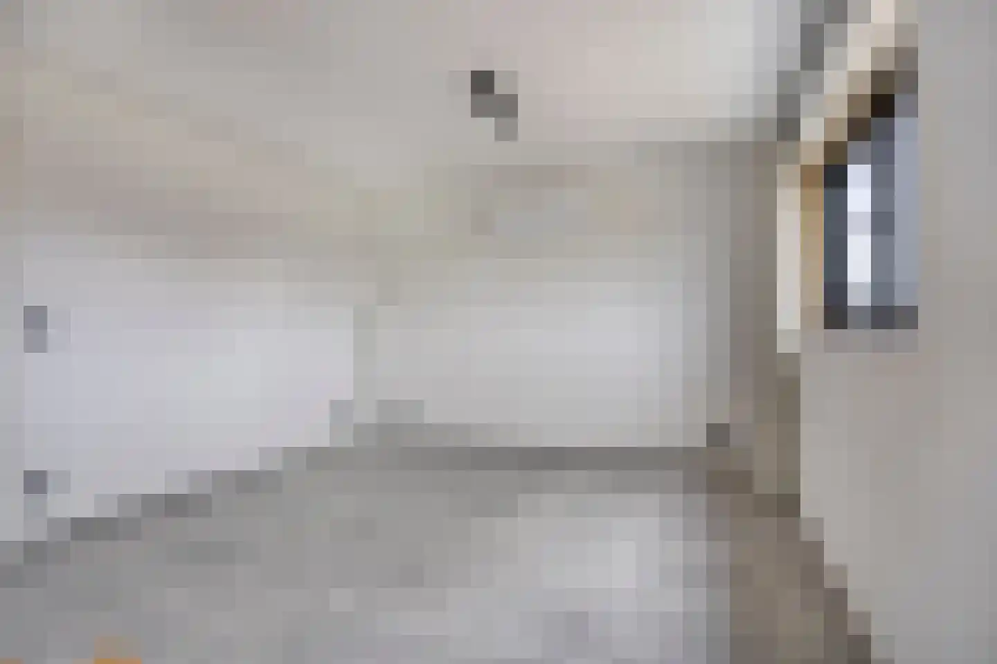 Frans Halsstraat 9 c Clinge thumbnail 30