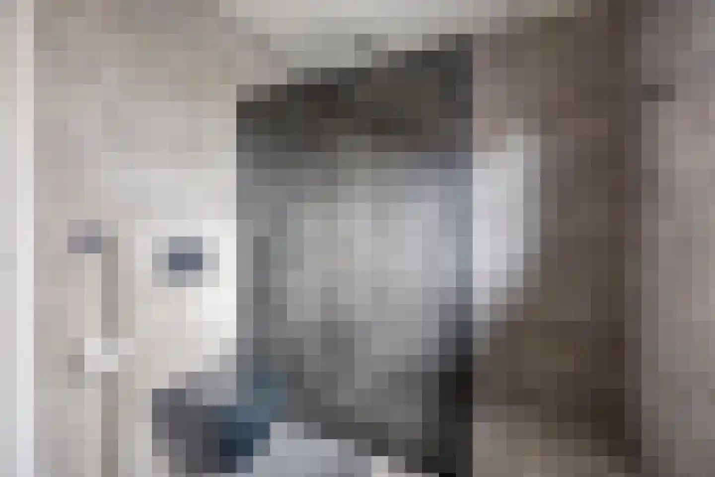Frans Halsstraat 9 c Clinge thumbnail 31