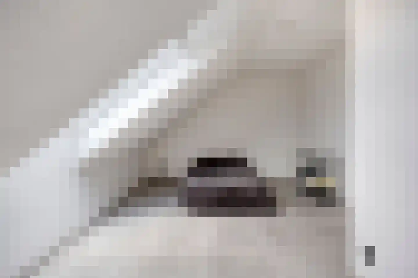 Frans Halsstraat 9 c Clinge thumbnail 33