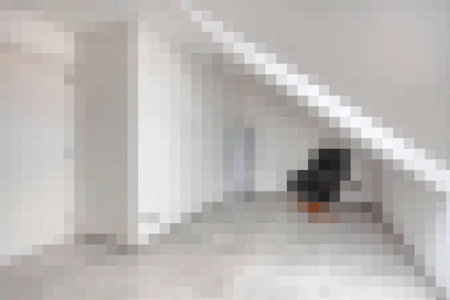 Frans Halsstraat 9 c Clinge thumbnail 34