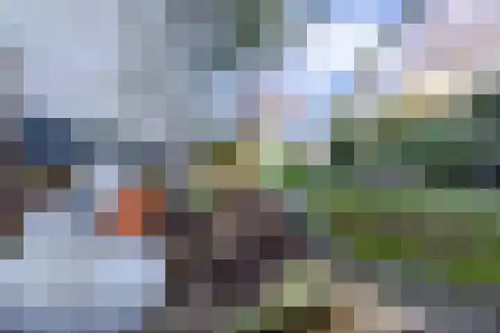 Frans Halsstraat 9 Maastricht thumbnail 37