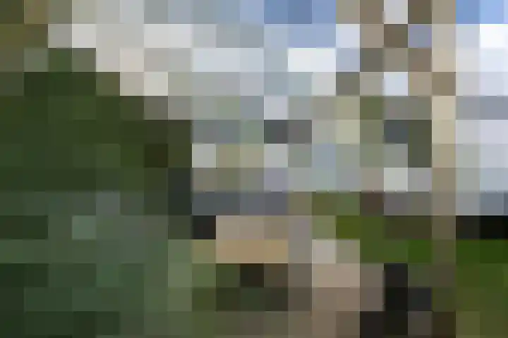 Frans Halsstraat 9 Maastricht thumbnail 42