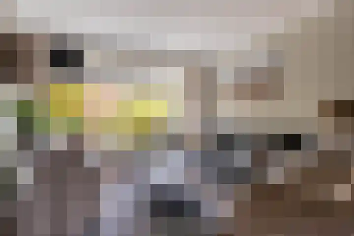 Frans Halsstraat 9 Ridderkerk thumbnail 10