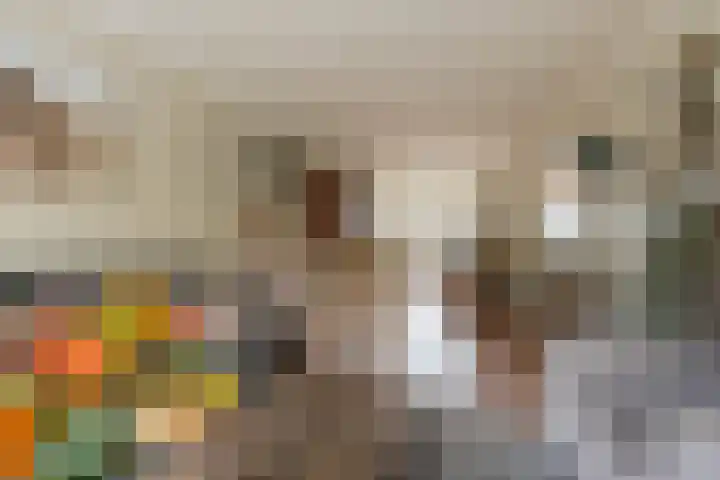 Frans Halsstraat 9 Ridderkerk thumbnail 11
