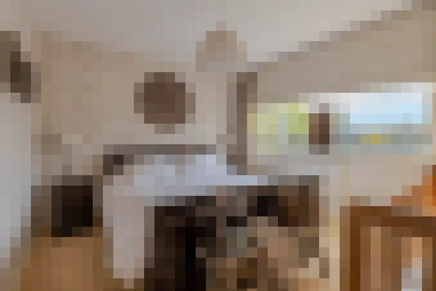 Frans Halsstraat 9 Ridderkerk thumbnail 19