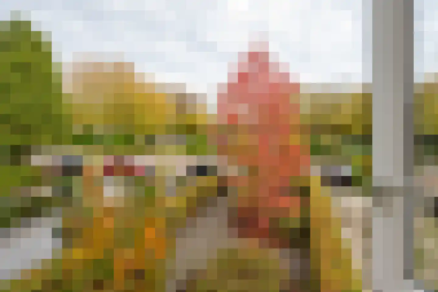 Frans Halsstraat 9 Ridderkerk thumbnail 25