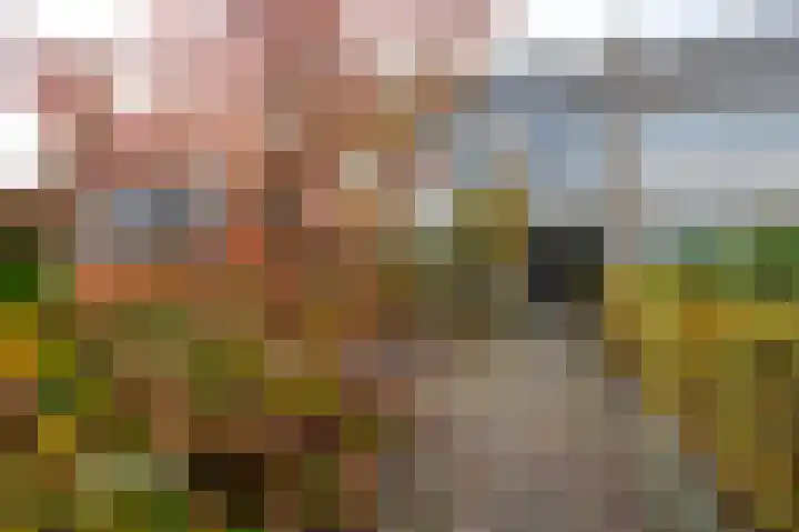 Frans Halsstraat 9 Ridderkerk thumbnail 30
