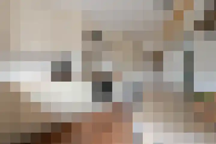 Frans Halsstraat 9 Ridderkerk thumbnail 4