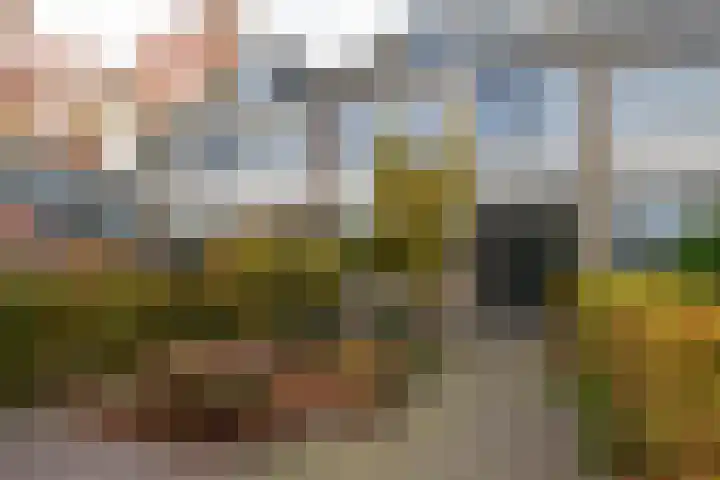 Frans Halsstraat 9 Ridderkerk thumbnail 7