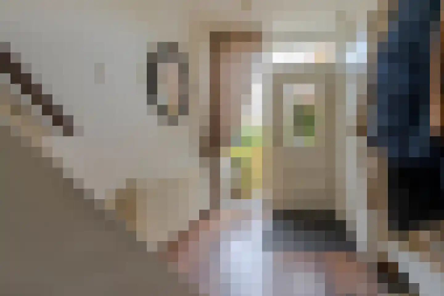 Frans Halsstraat 9 Ridderkerk thumbnail 8