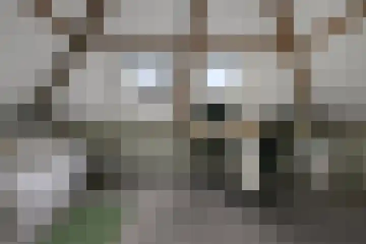 Frans Halsstraat 9 Zaandam thumbnail 28