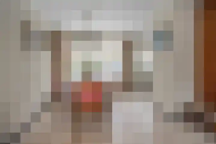 Frans Halsstraat 95 Voorthuizen thumbnail 11
