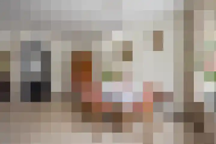 Frans Halsstraat 95 Voorthuizen thumbnail 15