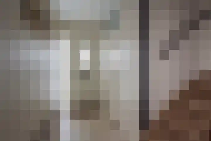 Frans Halsstraat 95 Voorthuizen thumbnail 17