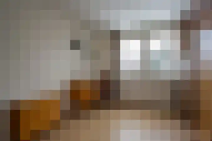 Frans Halsstraat 95 Voorthuizen thumbnail 19