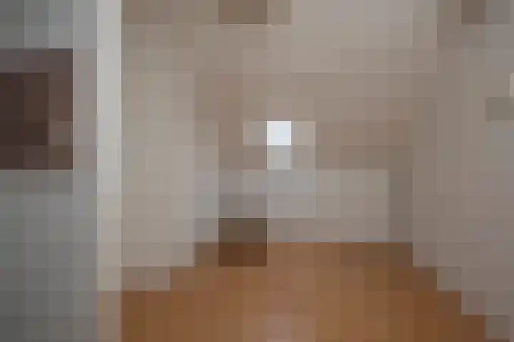 Frans Halsstraat 95 Voorthuizen thumbnail 29