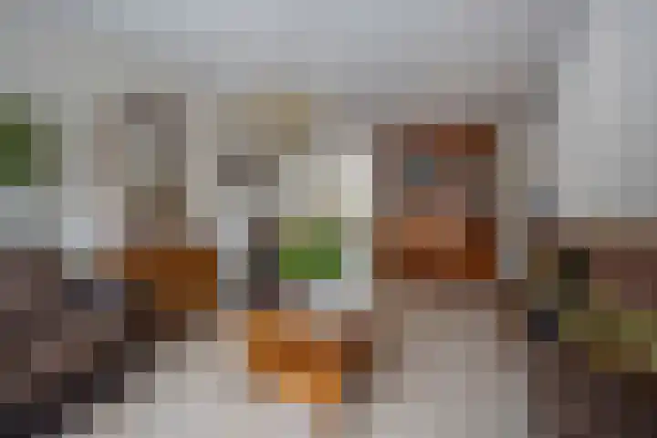 Frans Halsstraat 95 Voorthuizen thumbnail 4