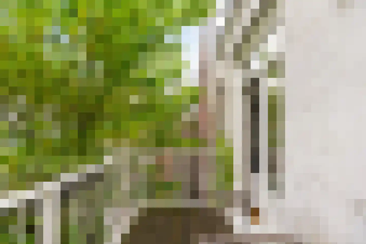 Frans Halsstraat 98 D Amsterdam thumbnail 24