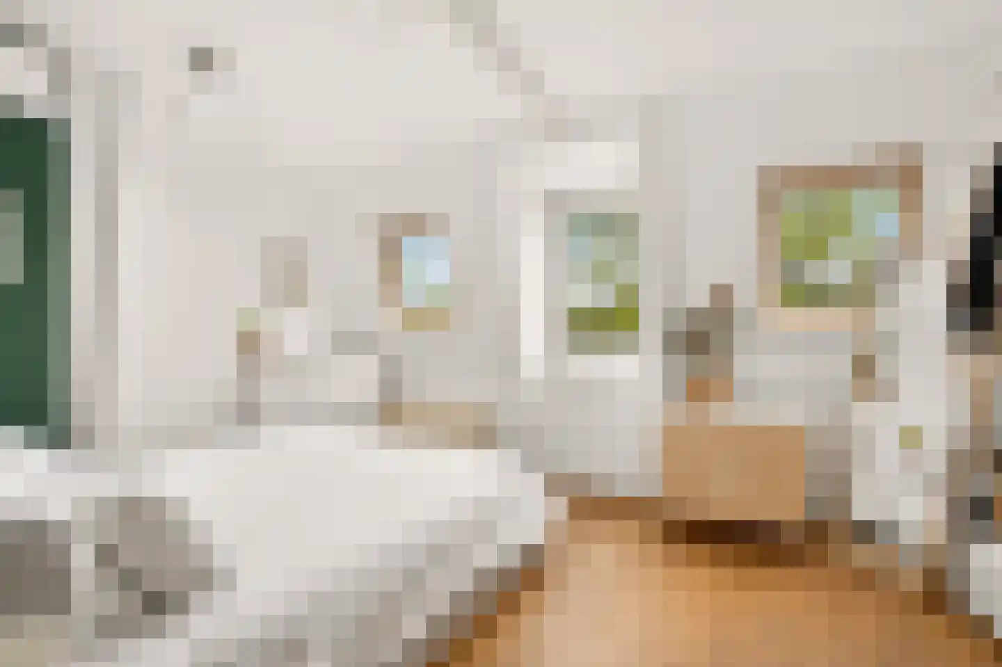 Frans Halsstraat 98 D Amsterdam thumbnail 35
