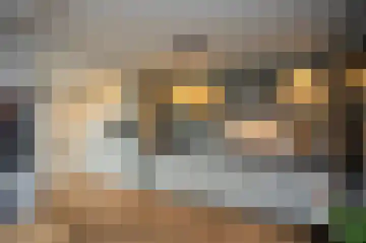 Frans Halsweg 12 Groesbeek thumbnail 13