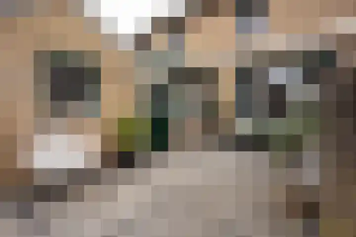 Frans Halsweg 12 Groesbeek thumbnail 37