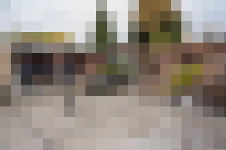 Frans Halsweg 12 Groesbeek thumbnail 40