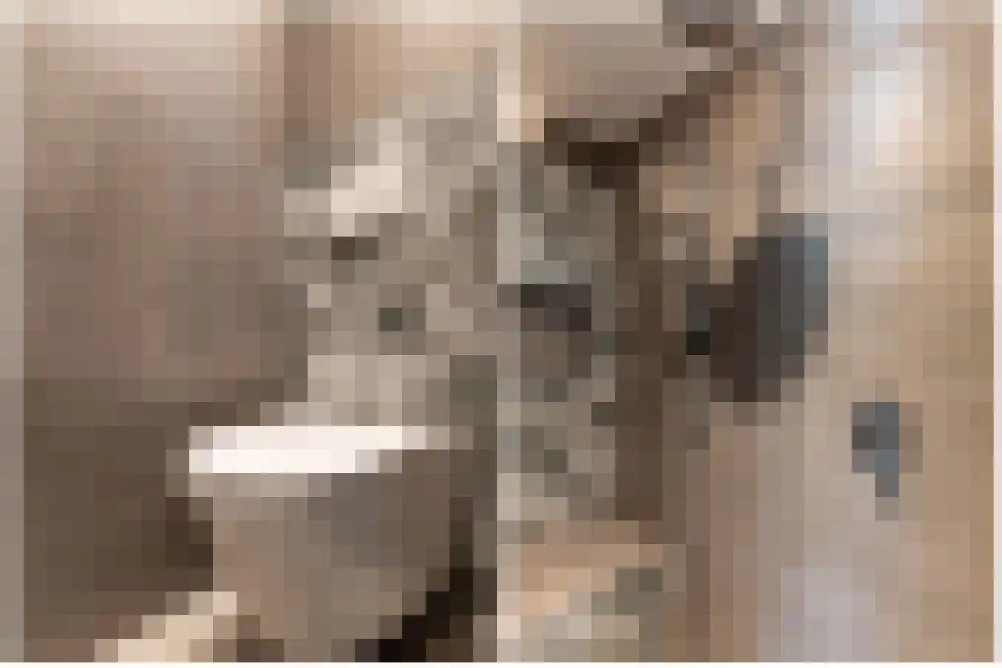Frans Halsweg 5 Almere thumbnail 27