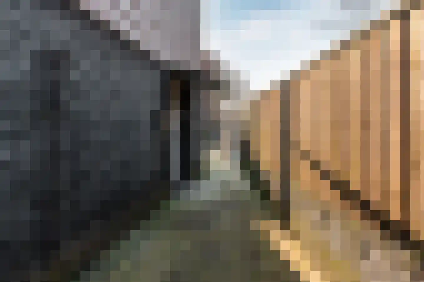 Frans Halsweg 5 Almere thumbnail 8