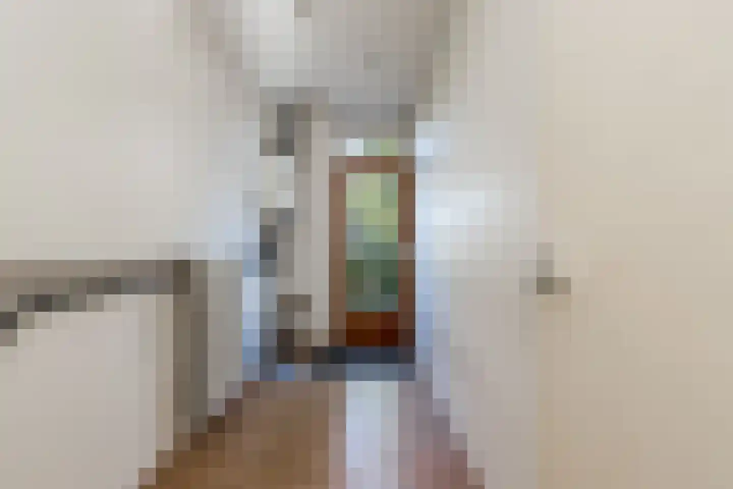 Frans Hanegraafstraat 53 Hank thumbnail 19