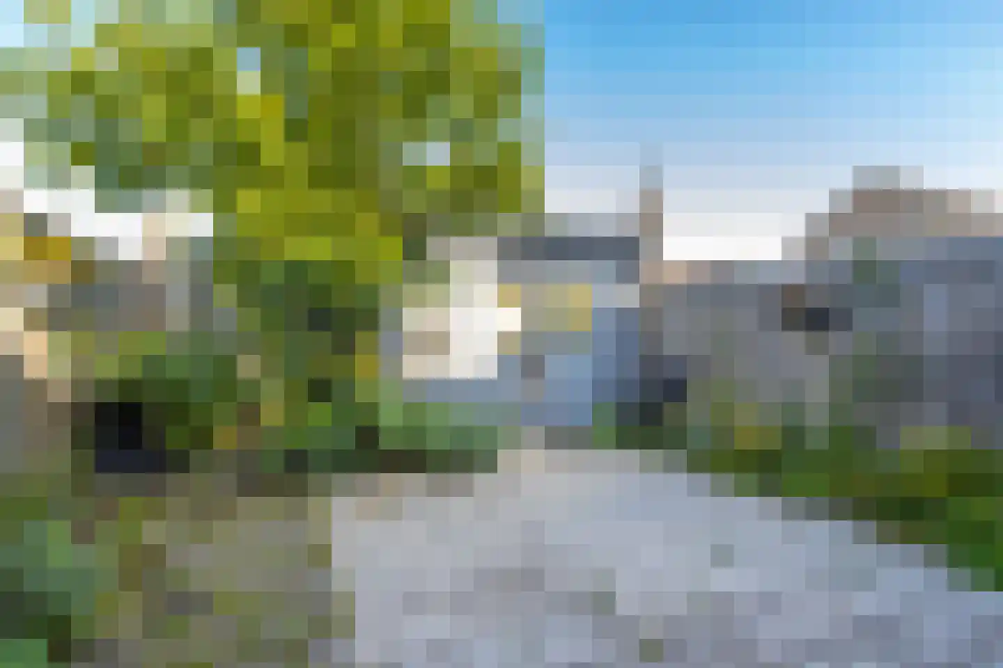 Frans Hanegraafstraat 53 Hank thumbnail 25