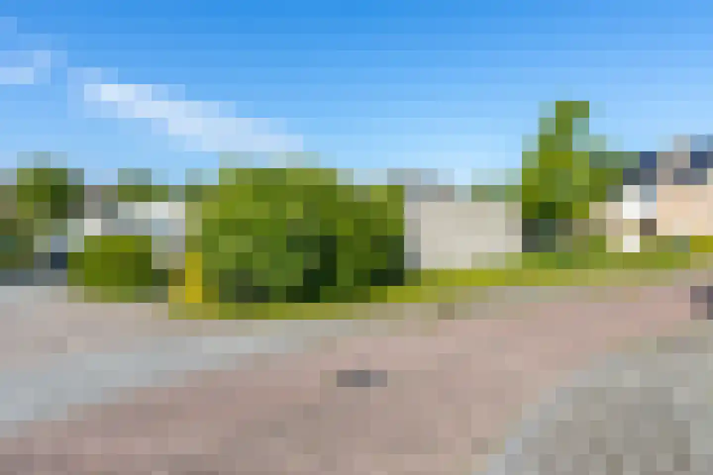 Frans Hanegraafstraat 53 Hank thumbnail 5