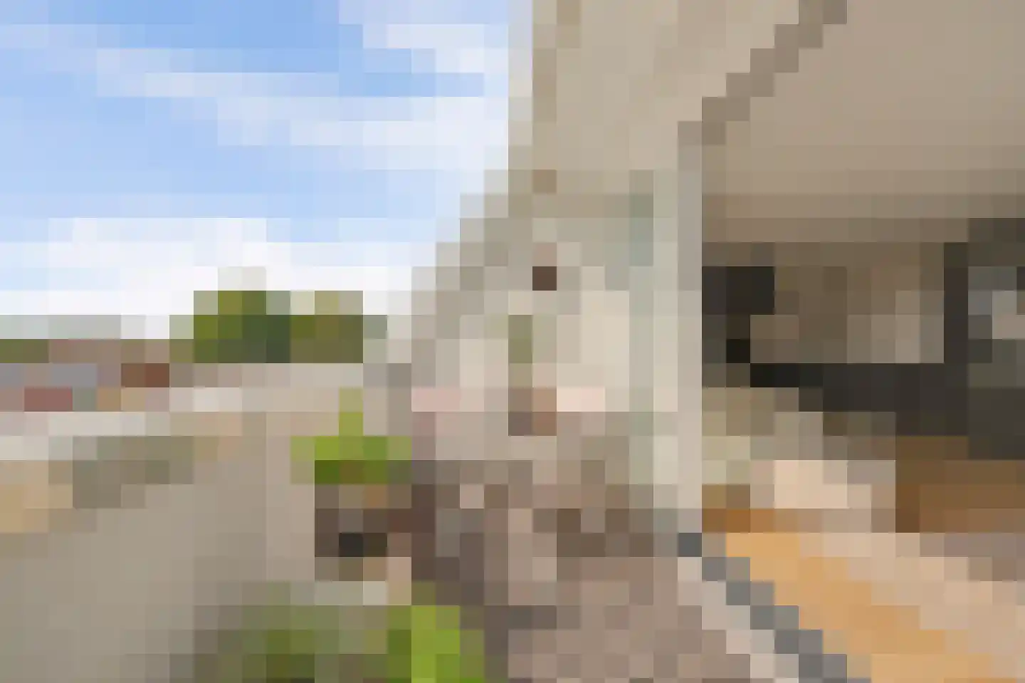 Frans Hommellaan 38 Oud-Vossemeer thumbnail 35