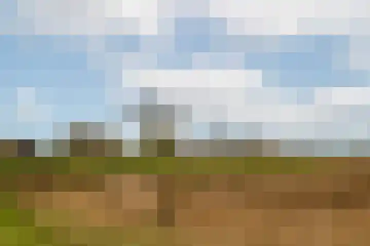 Frans Hommellaan 56 Oud-Vossemeer thumbnail 26