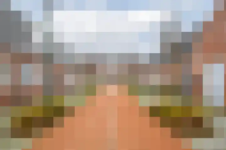 Frans Hommellaan 56 Oud-Vossemeer thumbnail 6
