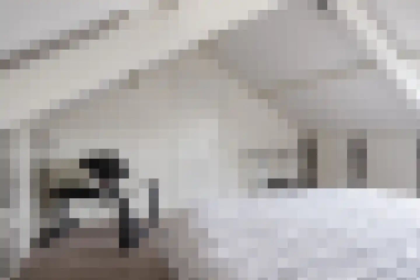 Frans Jacobsweg 2 Bunschoten-Spakenburg thumbnail 36
