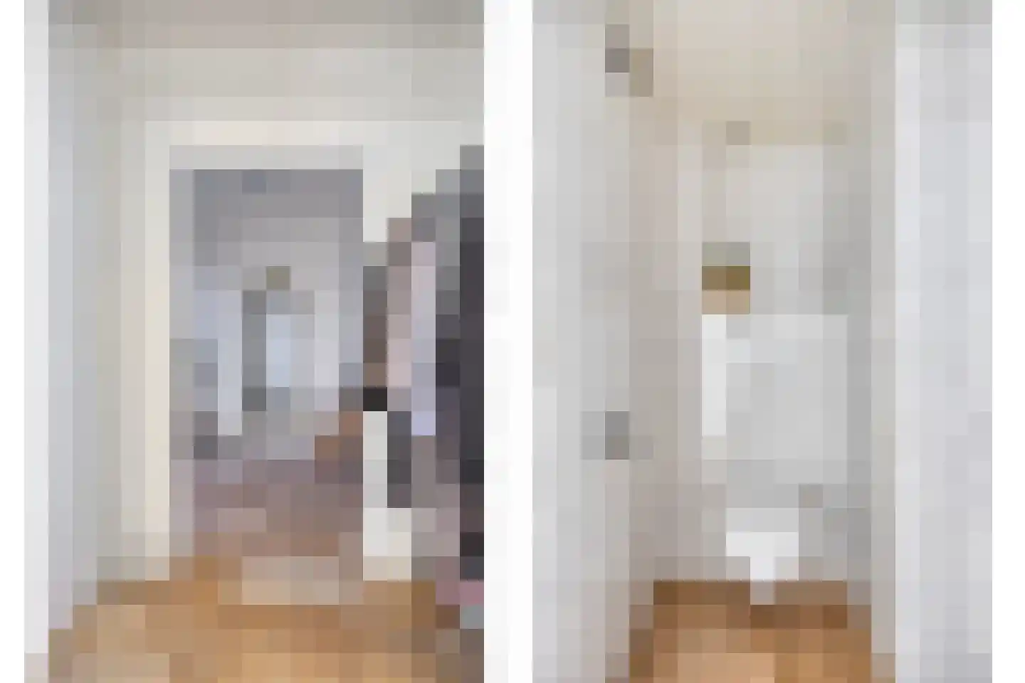 Frans Jansenstraat 1 Luyksgestel thumbnail 15