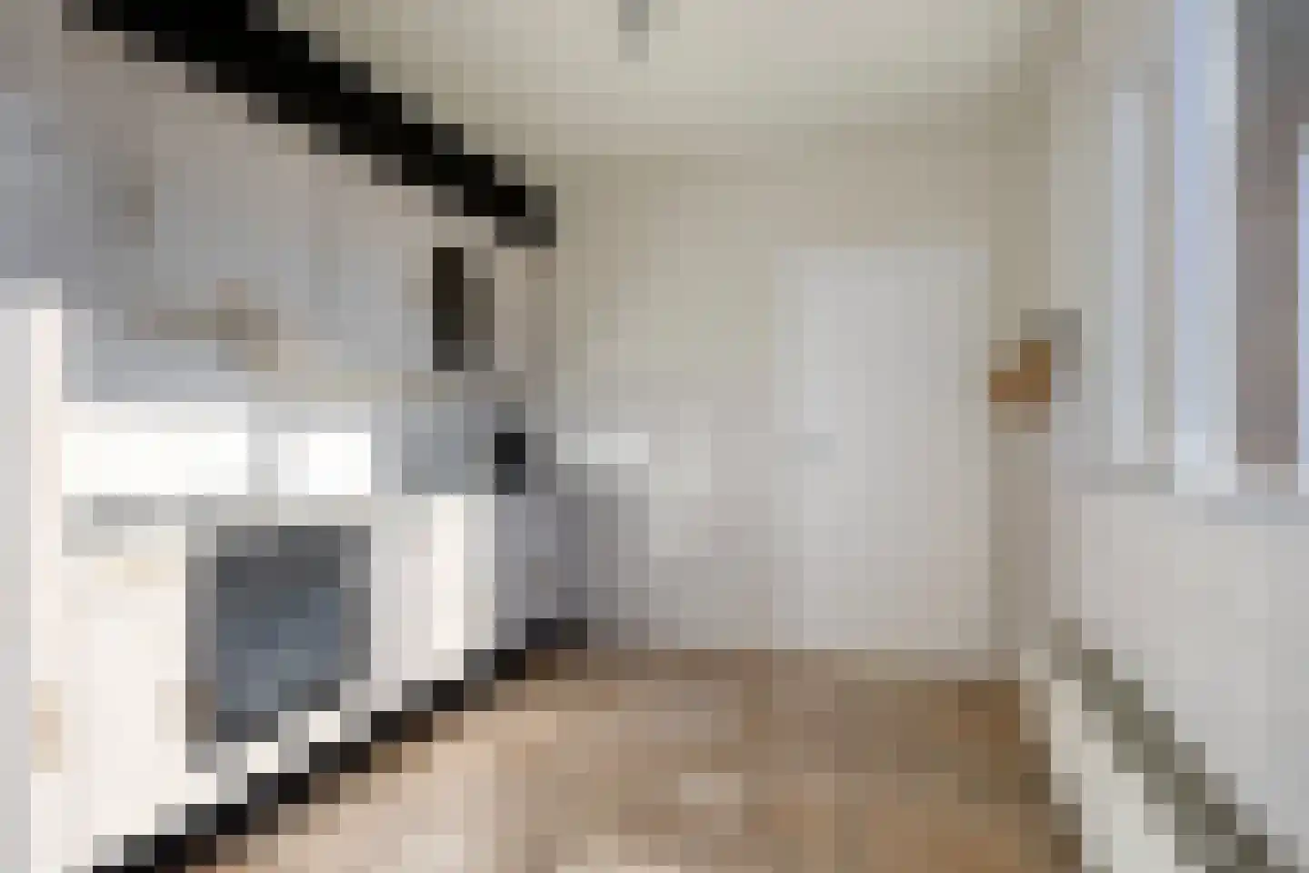 Frans Jansenstraat 1 Luyksgestel thumbnail 18