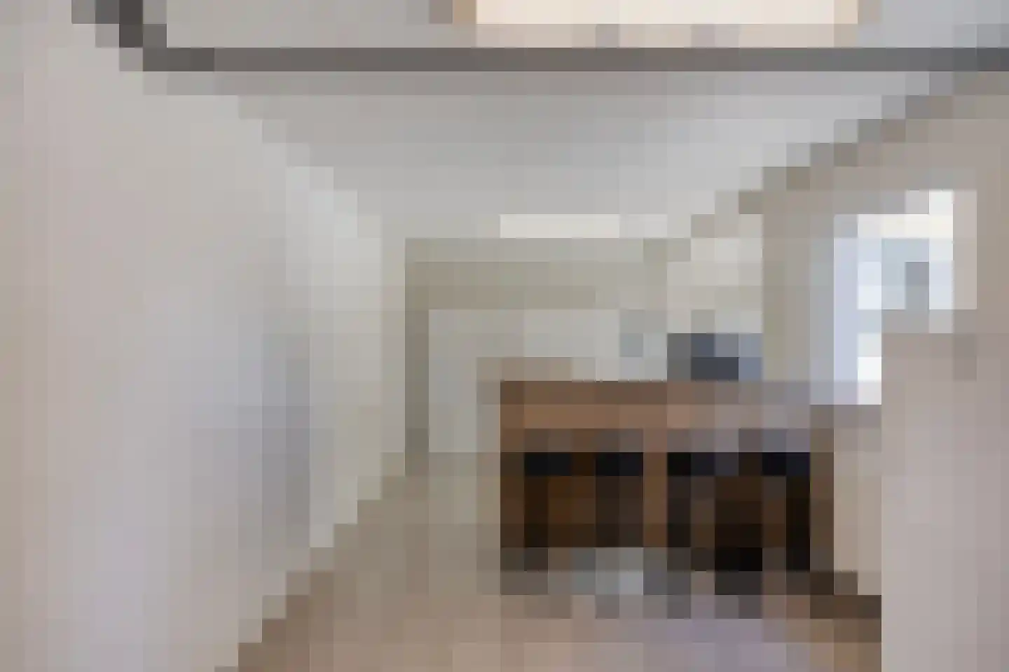 Frans Jansenstraat 1 Luyksgestel thumbnail 22